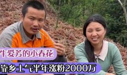 农村泥娃爆料视频大全下载,揭秘乡村生活百态